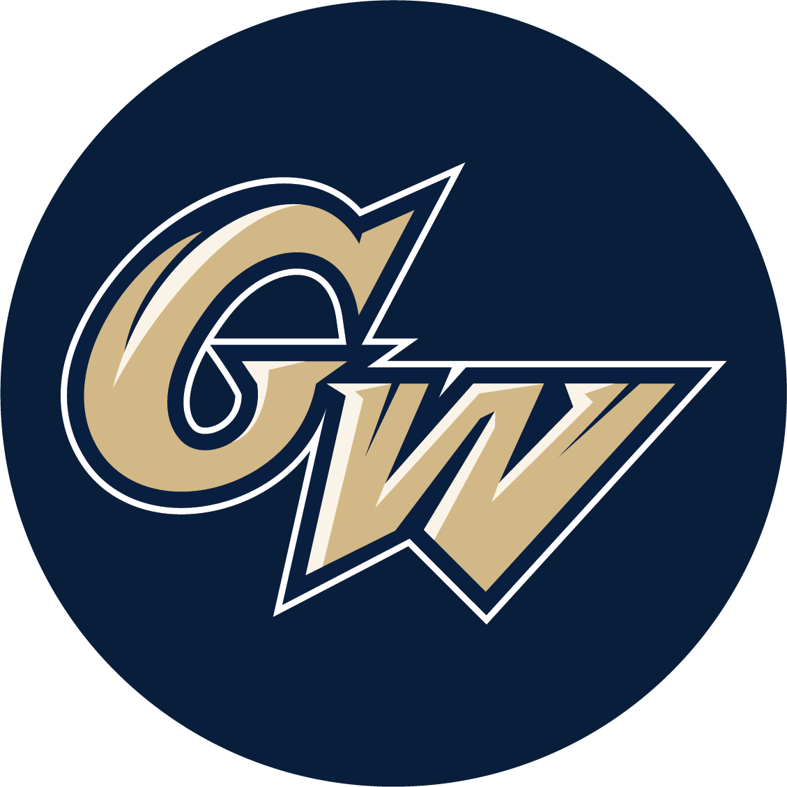 gwu logo
